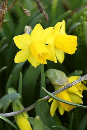 �~�j���b�p����