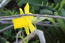 �~�j���b�p����