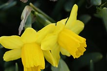 �~�j���b�p����